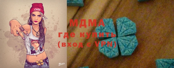 индика Богородицк