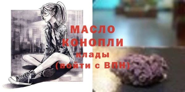 индика Богородицк