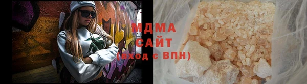 индика Богородицк