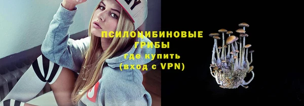 ПСИЛОЦИБИНОВЫЕ ГРИБЫ Белоозёрский