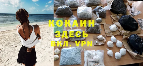 индика Богородицк