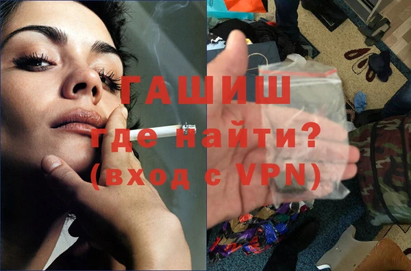 индика Богородицк