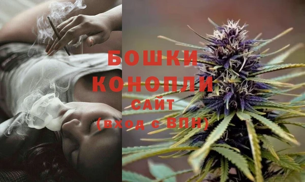 не бодяженный Богданович