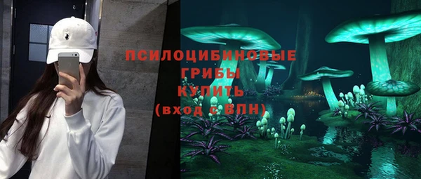 не бодяженный Богданович