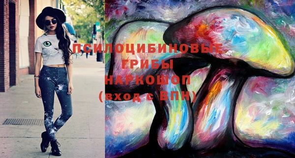 ПСИЛОЦИБИНОВЫЕ ГРИБЫ Белоозёрский