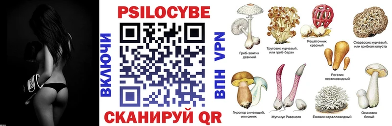 Галлюциногенные грибы Psilocybe  Купить где  Талица 